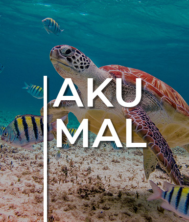 Akumal