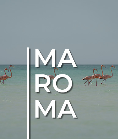 Punta Maroma
