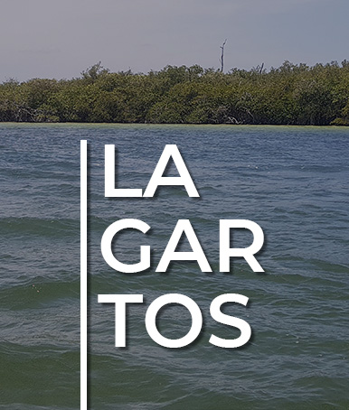 Rio Lagartos